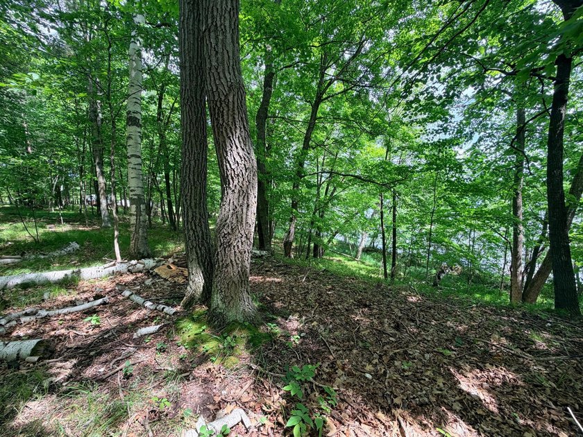 100 Feet on McKeown Lake! Create your Northwoods getaway on this - photo 6