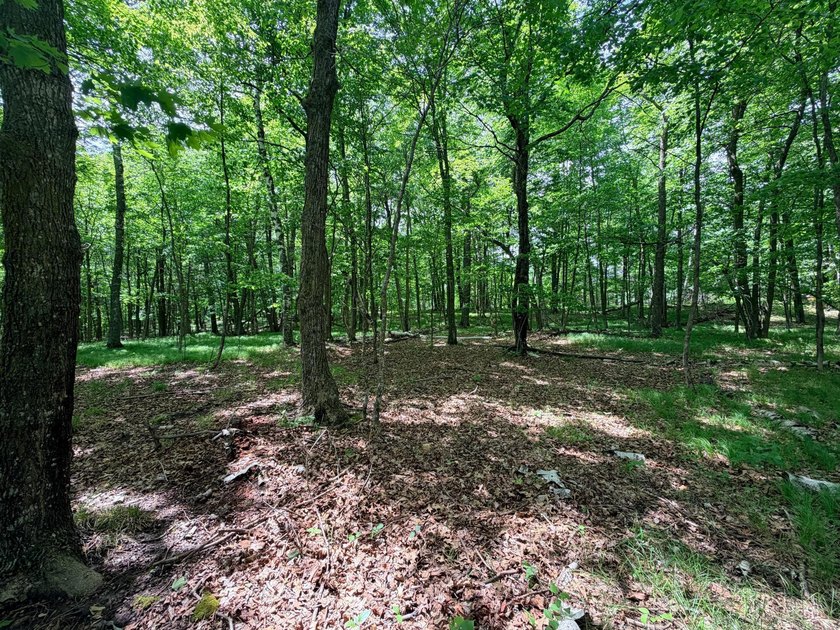 100 Feet on McKeown Lake! Create your Northwoods getaway on this - photo 7
