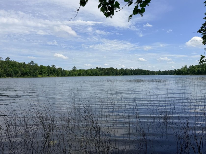 100 Feet on McKeown Lake! Create your Northwoods getaway on this - photo 8