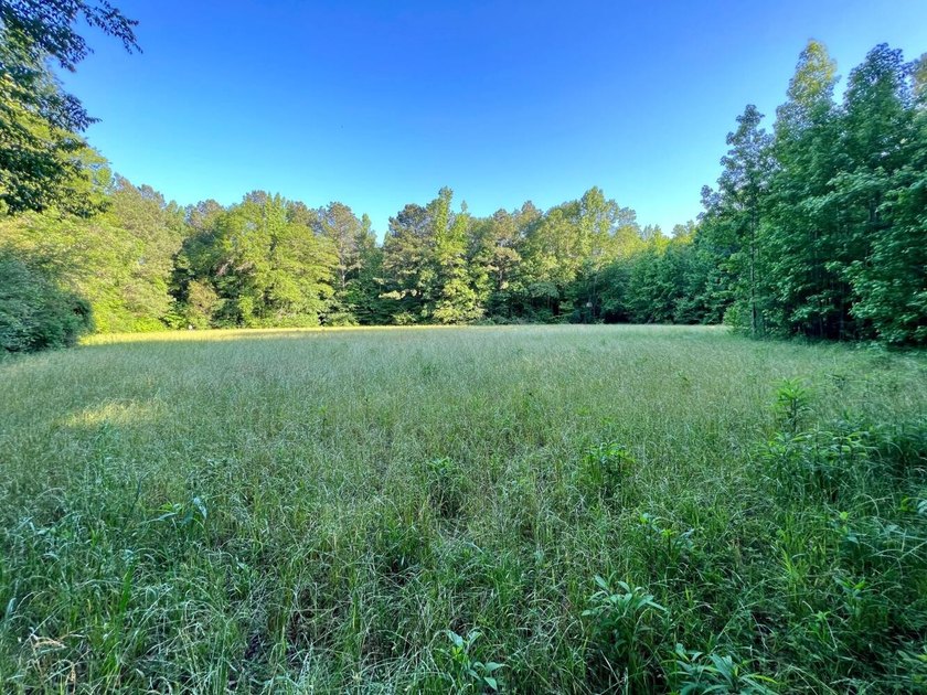 This waterfront timber and hunting investment offers a lot - photo 29