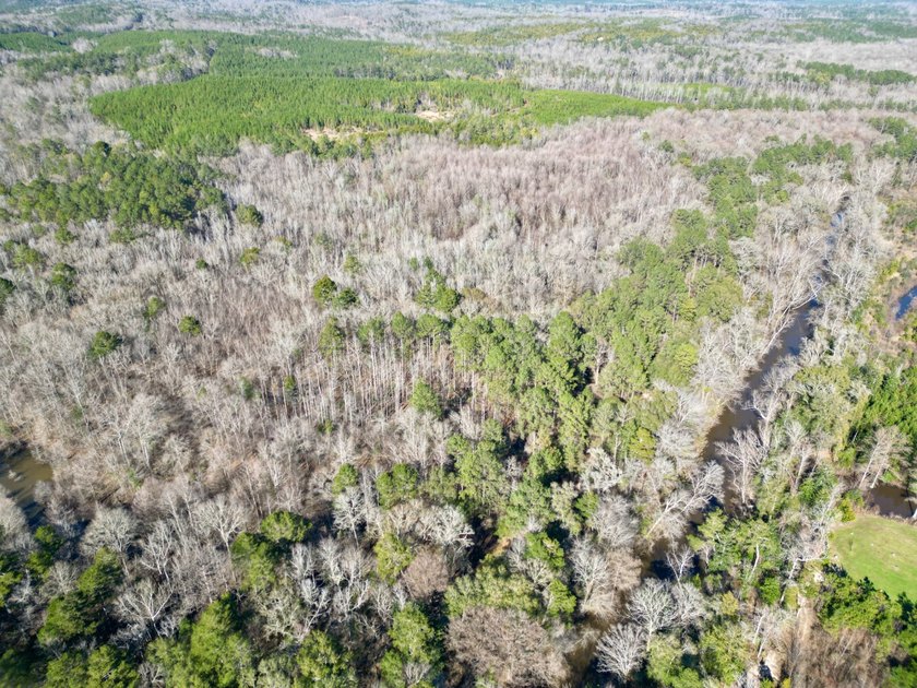 This waterfront timber and hunting investment offers a lot - photo 36