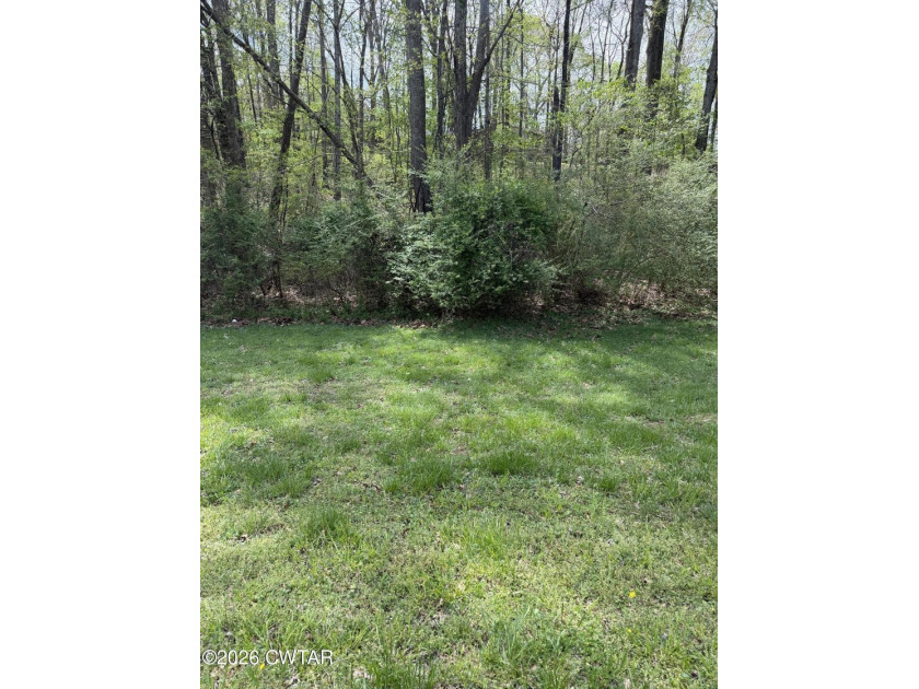 Beautiful lot just steps away from the water! All it's missing - photo 3