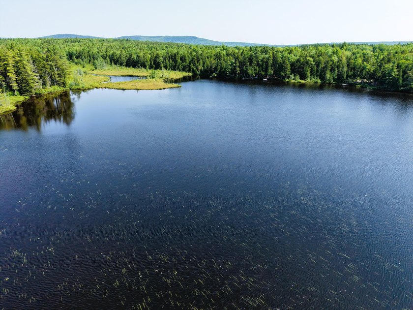 Escape to the heart of Maine's North Woods with this exceptional - photo 12