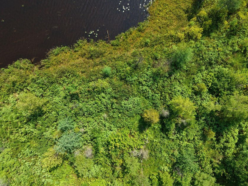 Escape to the heart of Maine's North Woods with this exceptional - photo 13