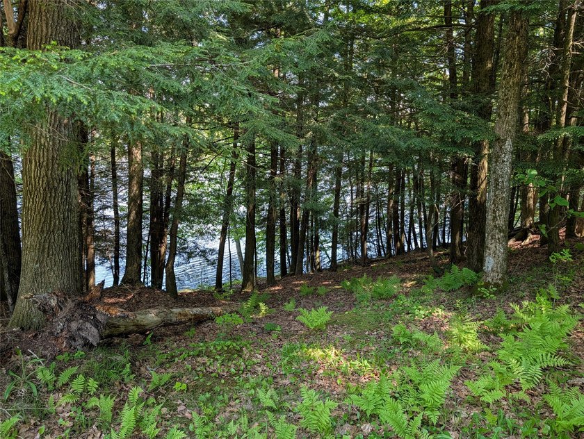 Welcome to your future property located at Otter Lake just north - photo 2