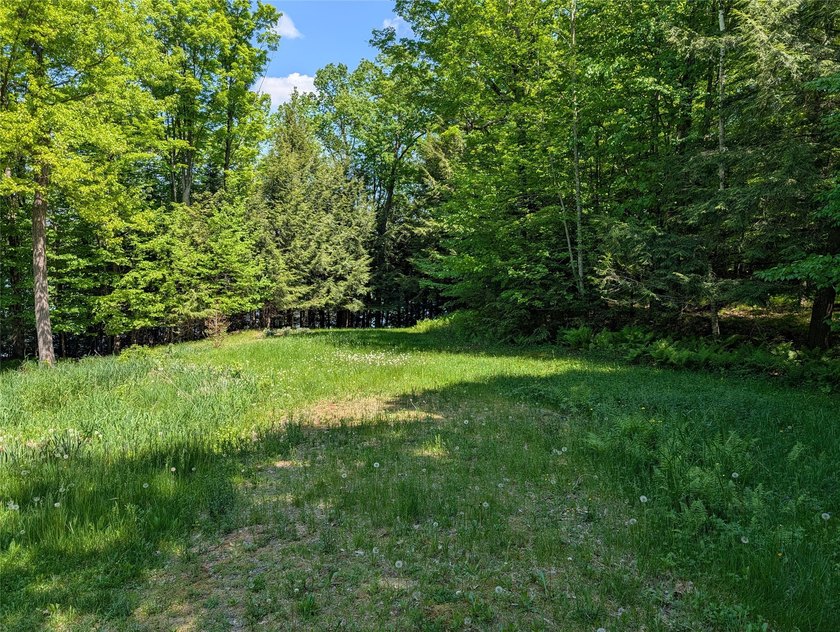 Welcome to your future property located at Otter Lake just north - photo 4