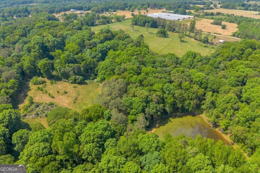 Offering a rare opportunity in a highly desirable location, this - photo 27