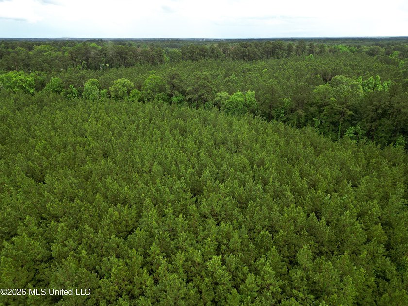 Lot for sale in Brookhaven, MSe check out this +/- 15-acre - photo 11