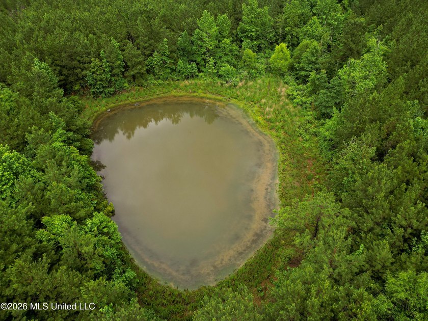 Lot for sale in Brookhaven, MSe check out this +/- 15-acre - photo 12