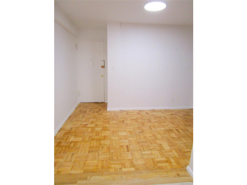 Rare Sponsor One Bedroom Apartment in the Woodlawn Heights - photo 12