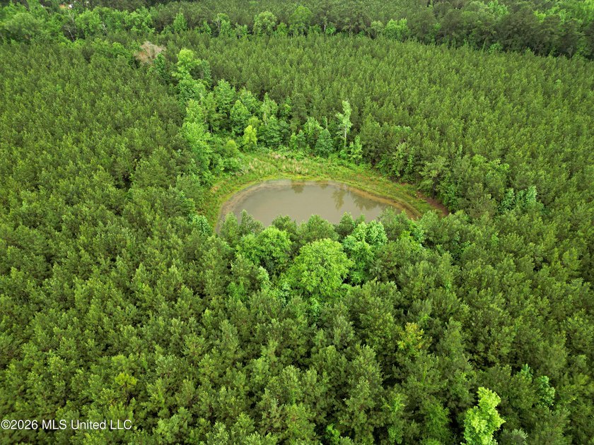 Lot for sale in Brookhaven, MSe check out this +/- 15-acre - photo 17