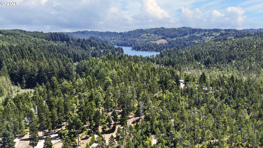 Out of the wind and fog this 10ac parcel with clean well cared - photo 12