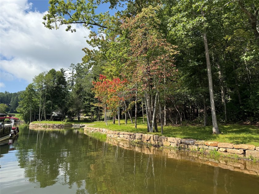 Two adjoining lake front lots on beautiful Lake Toxaway - photo 4