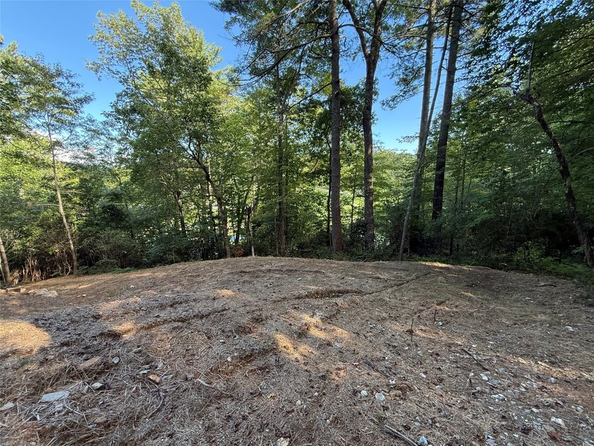 Two adjoining lake front lots on beautiful Lake Toxaway - photo 7