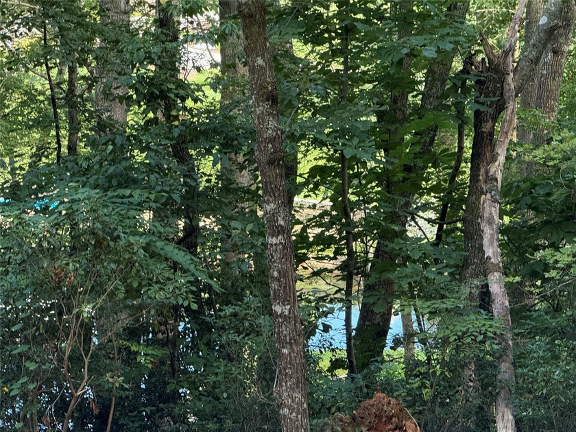 Two adjoining lake front lots on beautiful Lake Toxaway - photo 8