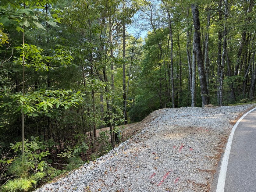 Two adjoining lake front lots on beautiful Lake Toxaway - photo 9