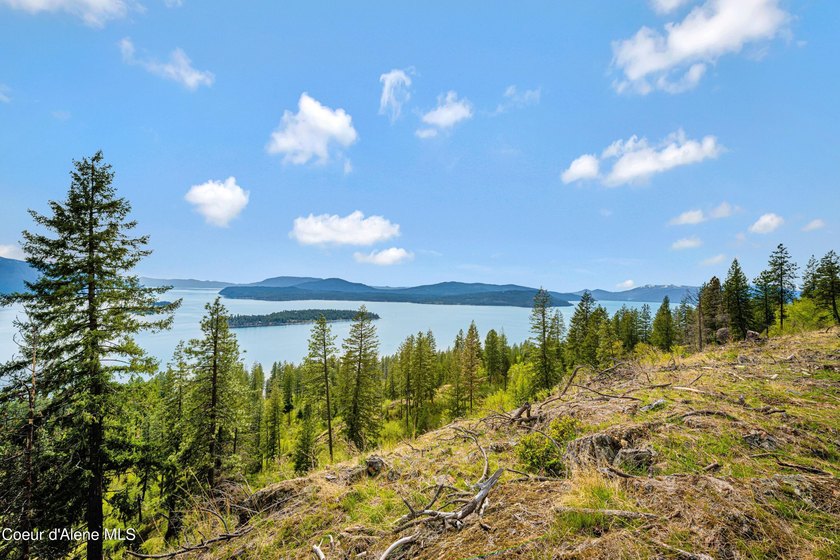 Last lot available!! ABOVE IT ALL! This absolutely stunning - photo 11