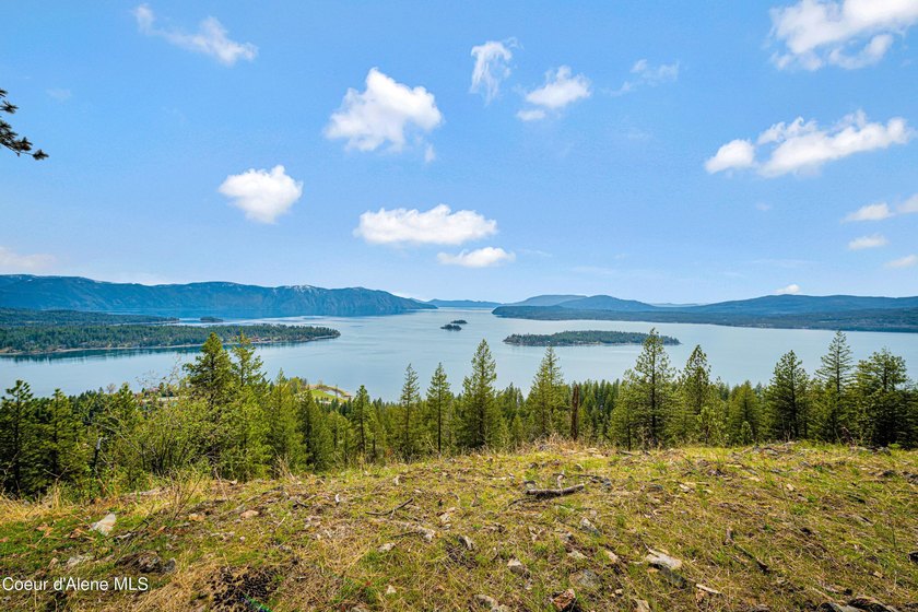 Last lot available!! ABOVE IT ALL! This absolutely stunning - photo 17