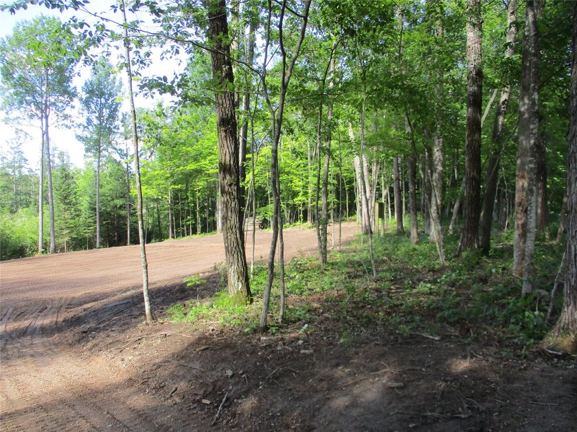 ENJOY THE LOW TAXES WITH ACCESS, NOT FRONTAGE, TO RED CEDAR LAKE - photo 3