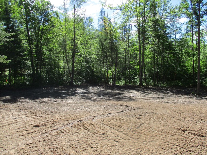 ENJOY THE LOW TAXES WITH ACCESS, NOT FRONTAGE, TO RED CEDAR LAKE - photo 4