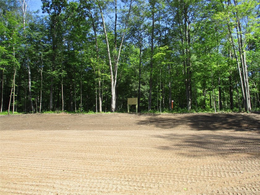 ENJOY THE LOW TAXES WITH ACCESS, NOT FRONTAGE, TO RED CEDAR LAKE - photo 6