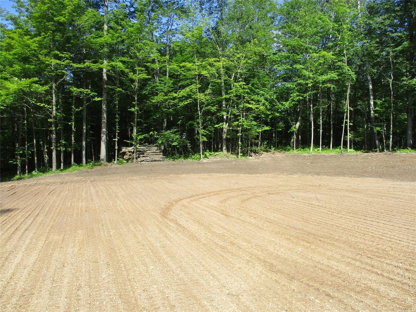 ENJOY THE LOW TAXES WITH ACCESS, NOT FRONTAGE, TO RED CEDAR LAKE - photo 7