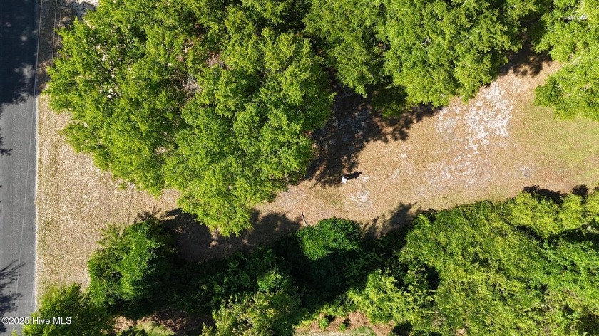 Looking for the perfect spot to build your dream home near the - photo 8