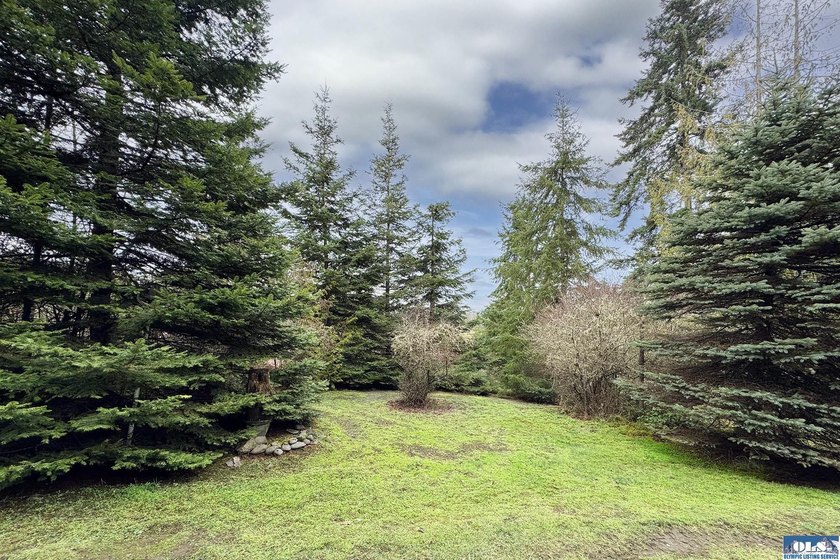Welcome to Emerald Forest Ranch, a serene retreat tucked within - photo 44