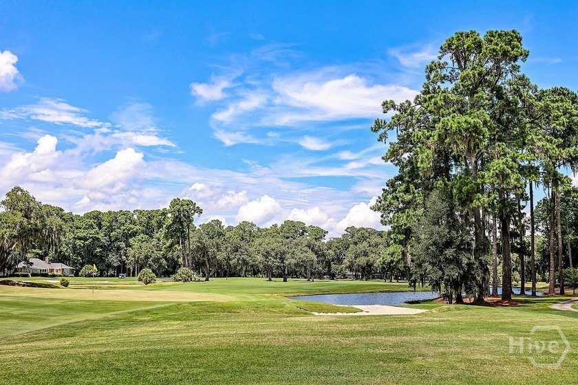 Welcome to 7 Wesley Crossing in The Landings, Savannah's premier - photo 41