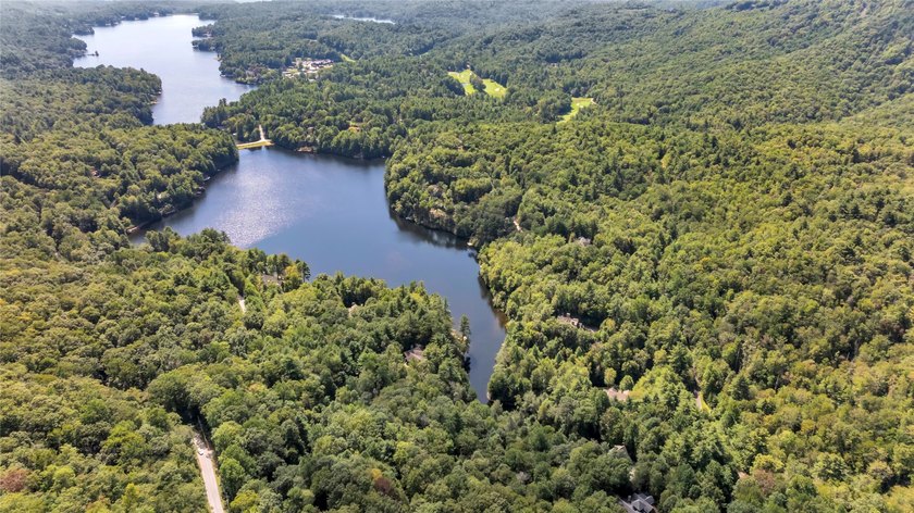 Spectacular, 48.91 +/- parcel in Lake Toxaway Estates adjoining - photo 2