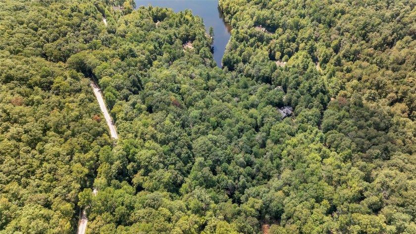 Spectacular, 48.91 +/- parcel in Lake Toxaway Estates adjoining - photo 5