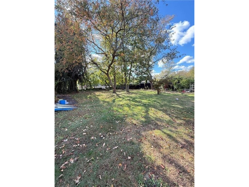 INVESTMENT OPPORTUNITY - PRIME LAND ON SUNRISE HIGHWAY 967 - photo 4
