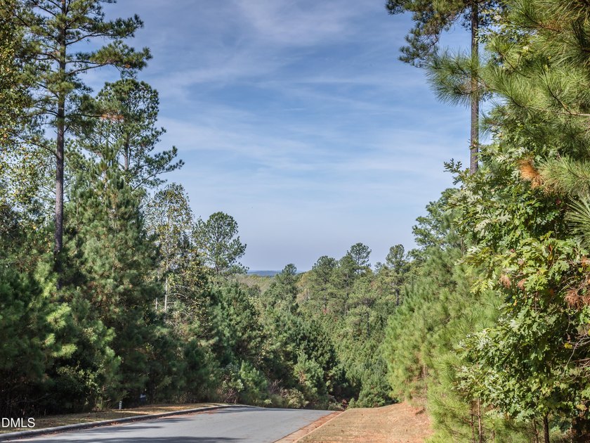 Wow! This gorgeous 4070 sf Prewitt-Douglas Custom home located - photo 16