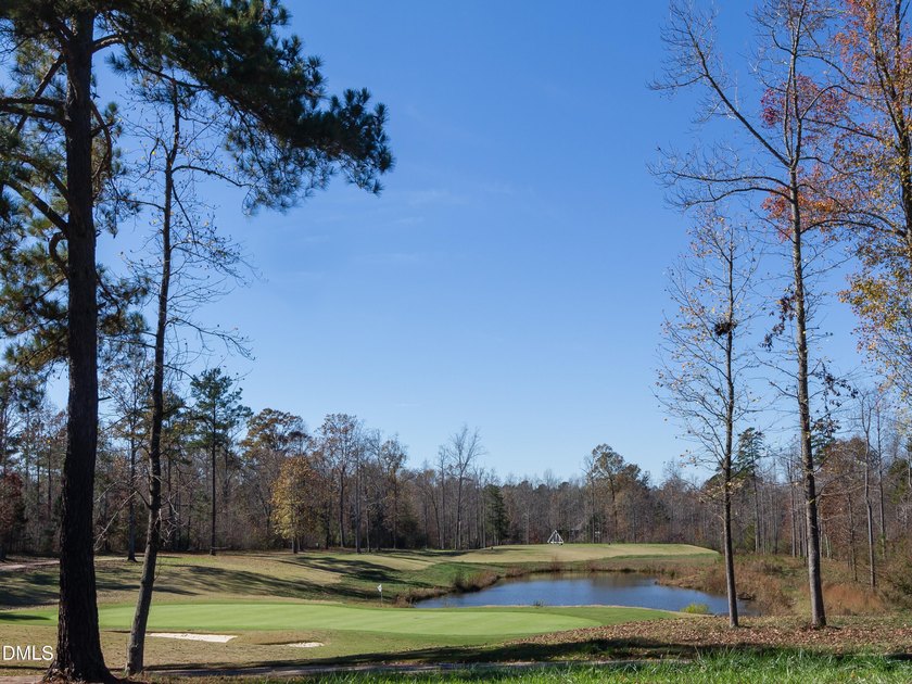 Wow! This gorgeous 4070 sf Prewitt-Douglas Custom home located - photo 39