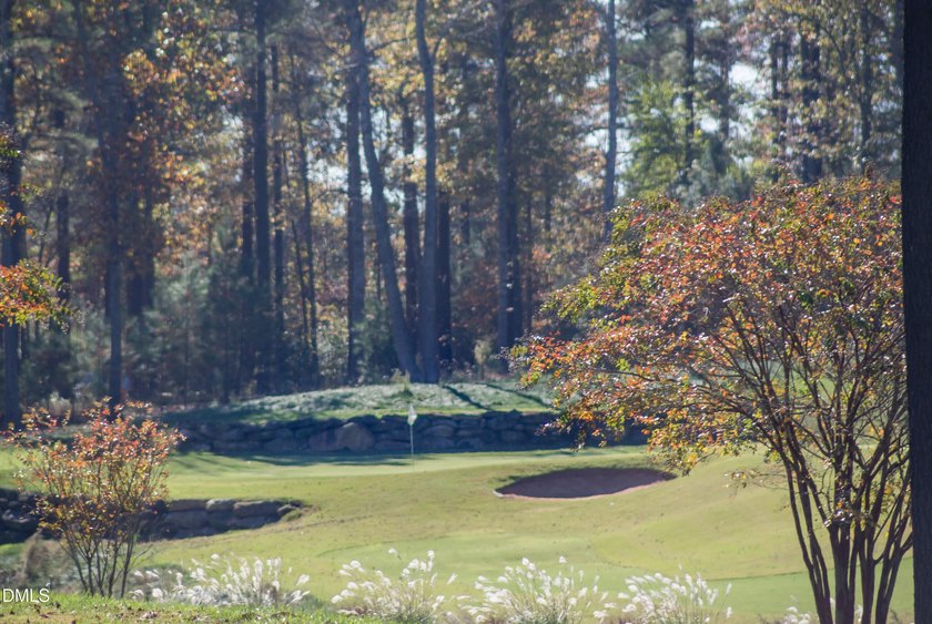 Wow! This gorgeous 4070 sf Prewitt-Douglas Custom home located - photo 40