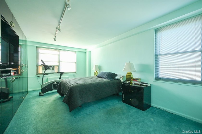 Spacious and sun-filled 2 bedroom, 2 bathroom corner coop - photo 15