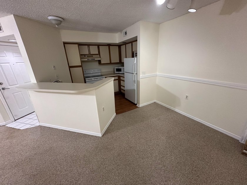 This cozy 1/1 condo features an open living/dining area with a - photo 5