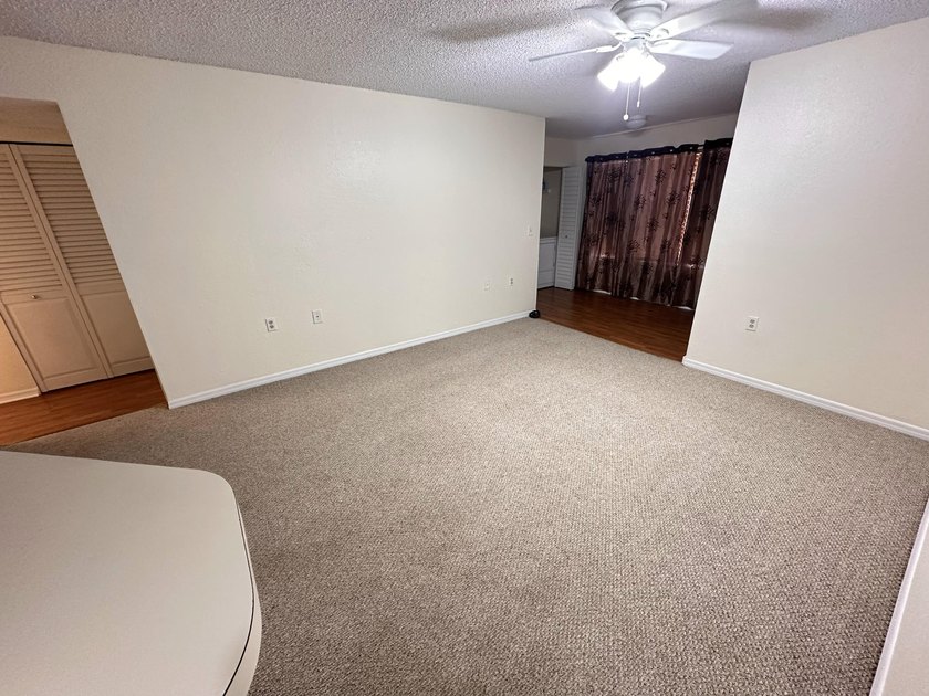 This cozy 1/1 condo features an open living/dining area with a - photo 6