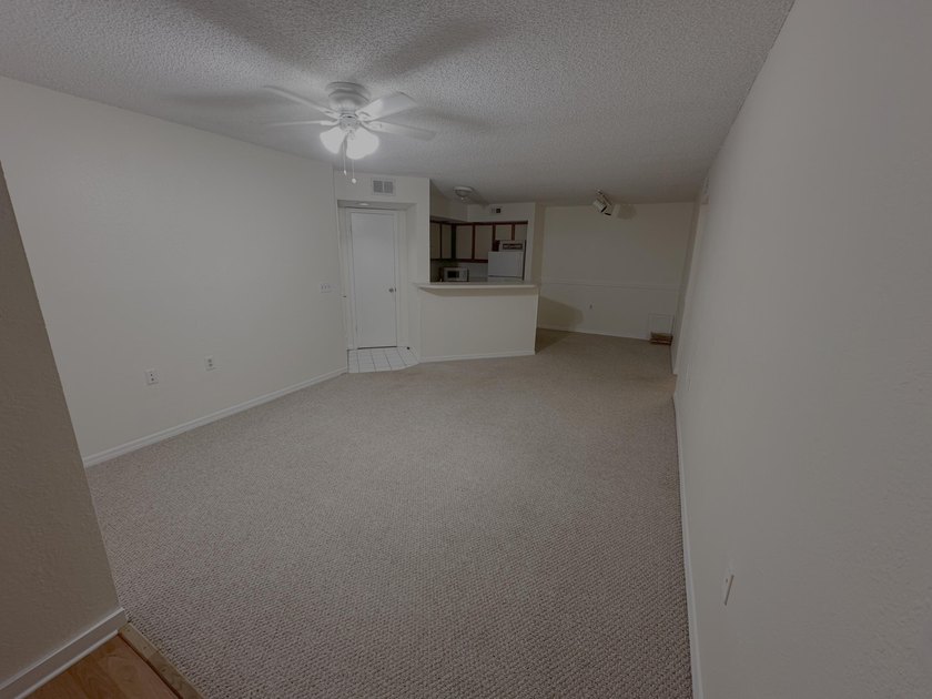This cozy 1/1 condo features an open living/dining area with a - photo 7