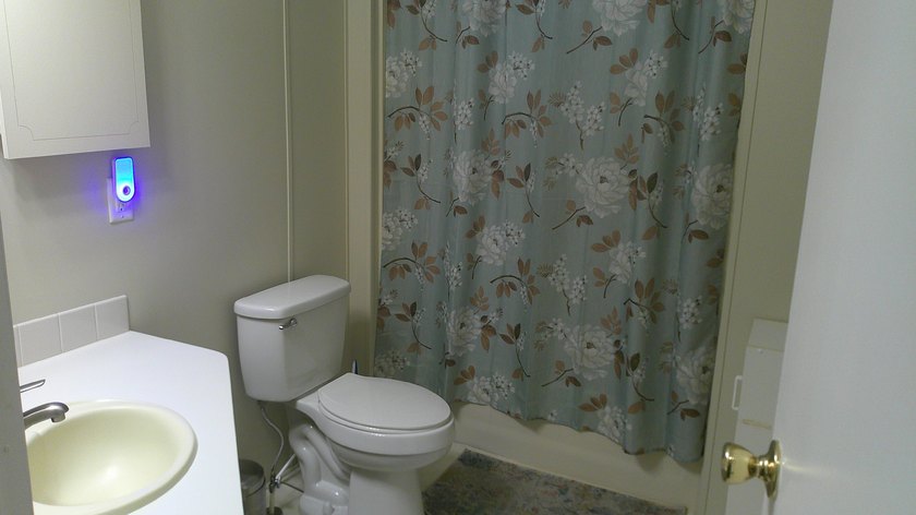 33206 Dockside Lane is located in a 55+ resort style land leased - photo 10