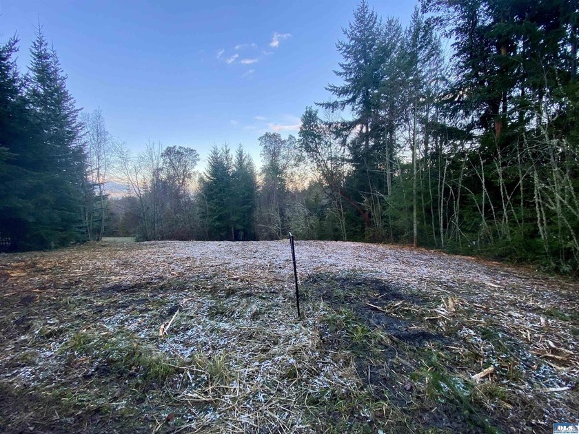 Rare and beautiful peaceful 2.6-acre cleared to build with - photo 21