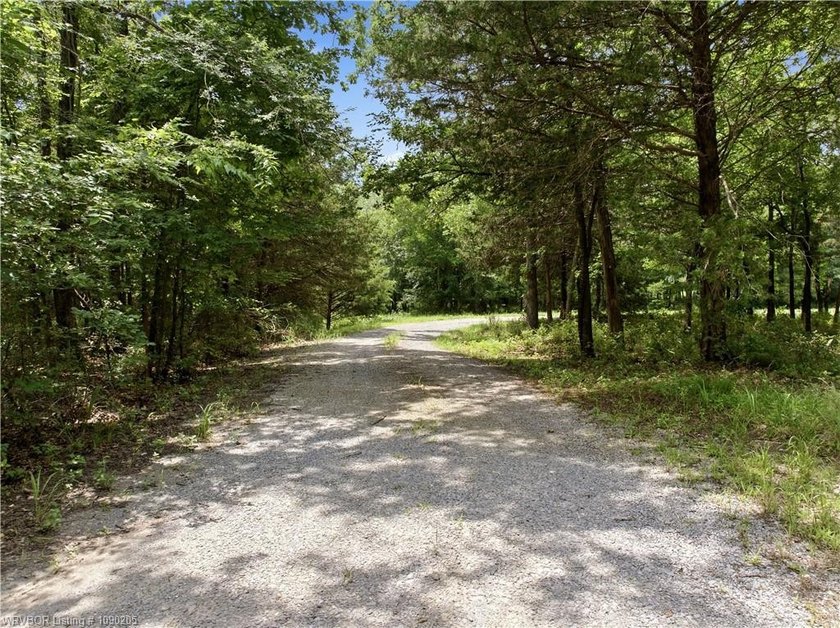 Only a few miles to Burnt Cabin Marina! Beautiful home secluded - photo 30