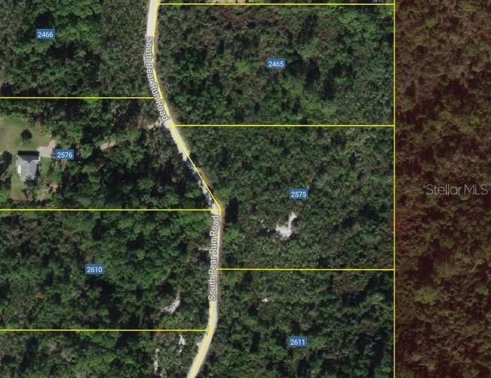 Blue Jordan Forest is a gated community in southeast Polk County - photo 22