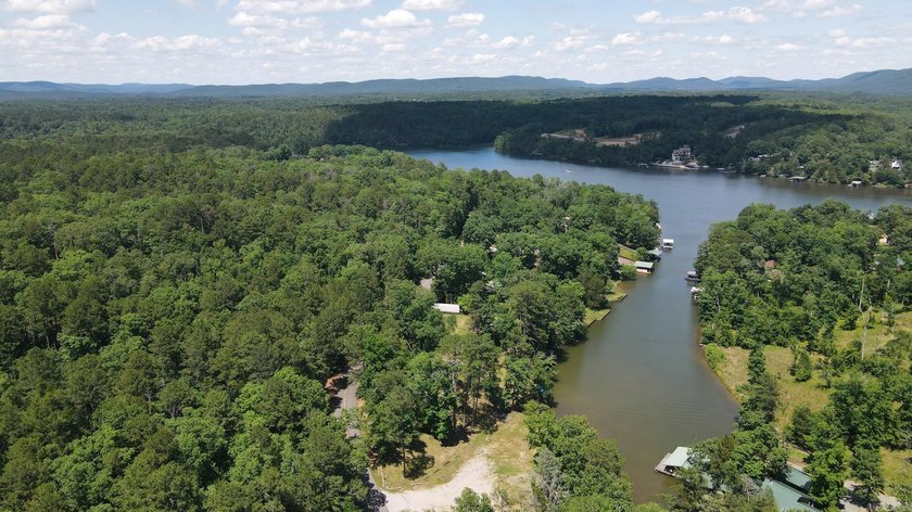 129 Ft of Lake Hamilton Waterfront | Build-Ready .75-Acre Lot | - photo 23