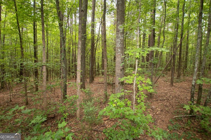 Welcome home to 4321 Highway 186! This adorable 4 bedroom/2 - photo 8