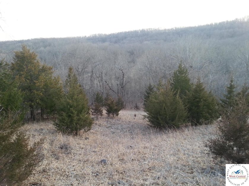 A wonderful and unique 6.3 acres of land with privacy and - photo 4