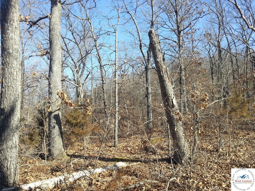 A wonderful and unique 6.3 acres of land with privacy and - photo 7