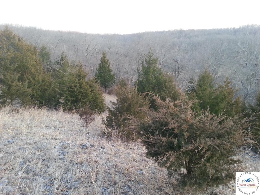 A wonderful and unique 6.3 acres of land with privacy and - photo 8