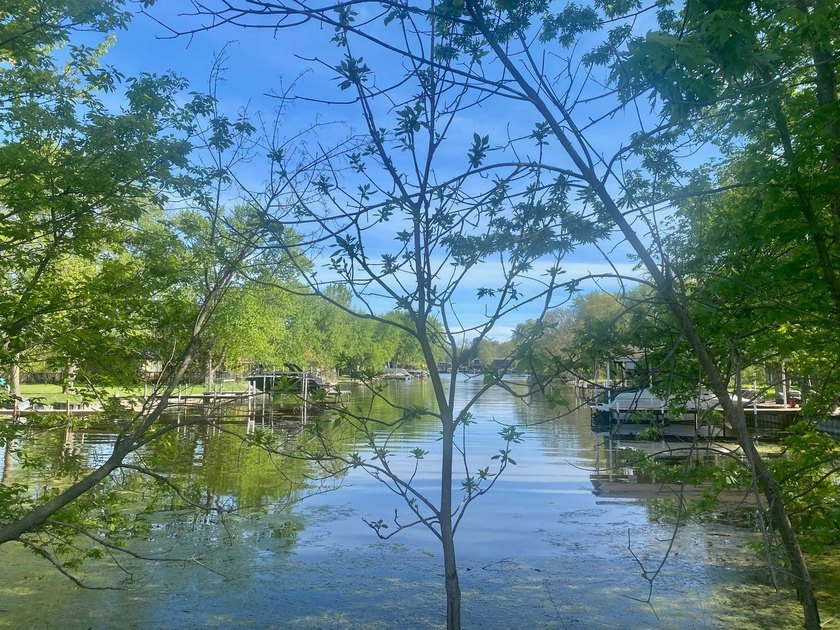 Fox River channel Water view! Ready to build your dream home? - photo 3