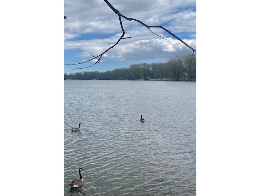 Fox River channel Water view! Ready to build your dream home? - photo 9